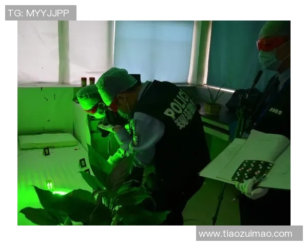 吴明鸿的艺术旅程：从初心到巅峰的探索与追寻