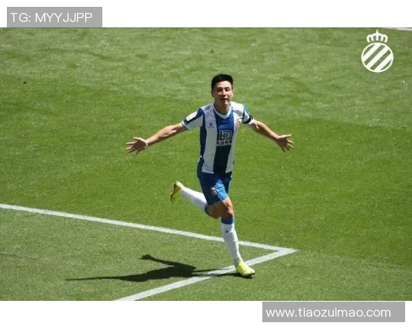 塞阿拉与若因维利的精彩对决解析与赛前展望