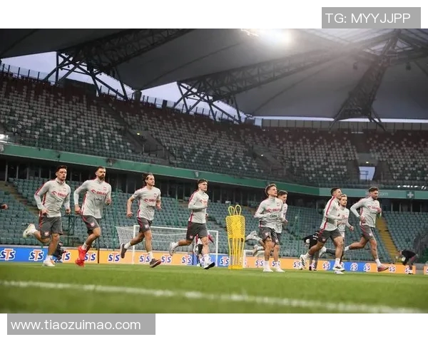 中国与波兰足球对决主客队分析及比赛前瞻